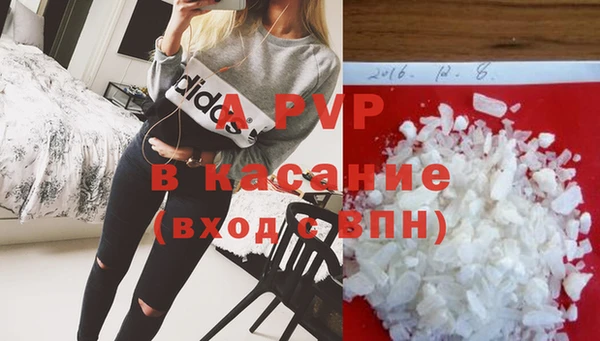 стафф Белокуриха