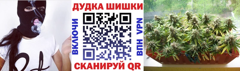 закладки  Александровское  МАРИХУАНА Bruce Banner 
